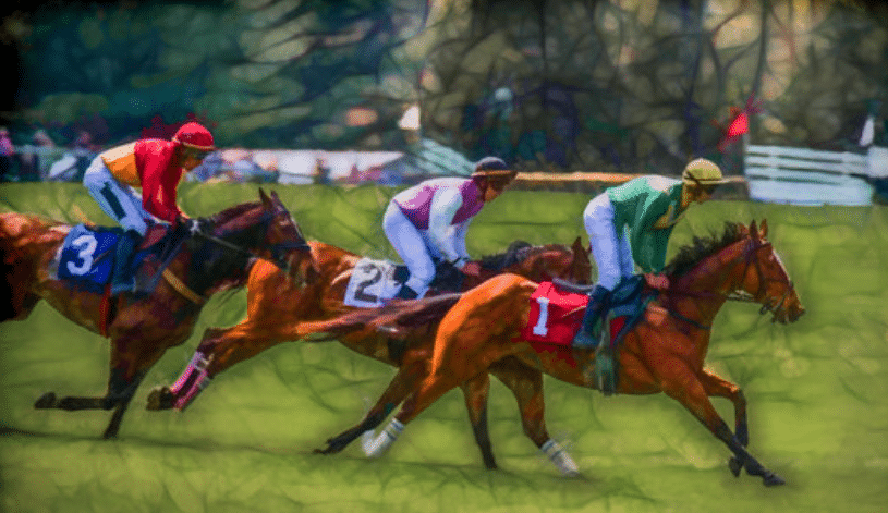Horse Racing - On-course Betting