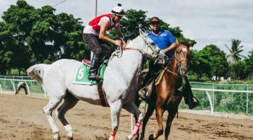 horse betting rules